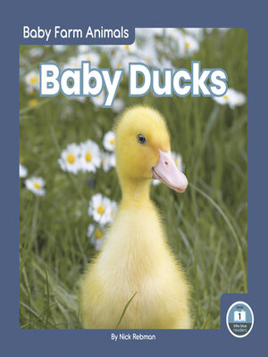 cover image of Baby Ducks